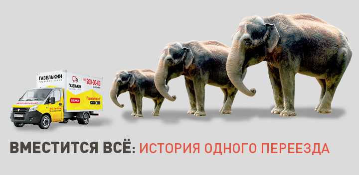 Как упаковать посуду при переезде