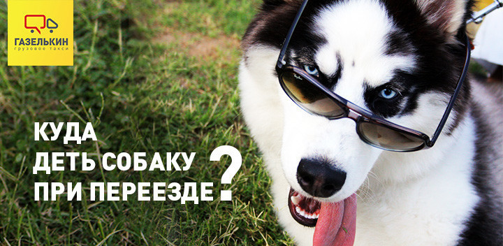 Как быстро переехать и не поссориться с женой и начальником?