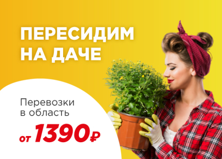 Пересидим на даче